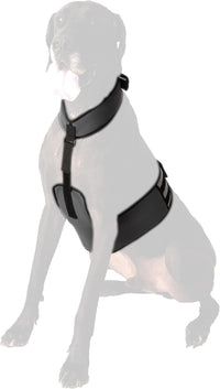 CoolerDog Dog Cooling Vest & Cooling Collar - XL - image 2