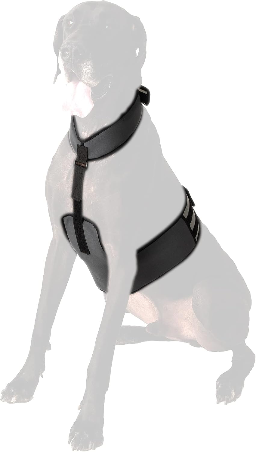 CoolerDog Dog Cooling Vest & Cooling Collar - XL - image 2