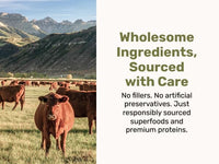 Superfood Nuggets- Premium, Freeze-Dried raw Dog Food Topper or Treat. Powerful Nutrient-Dense Ingredients. No Artificial additives. Beef Tripe and Kale Formula 8oz - 4pk Bundle