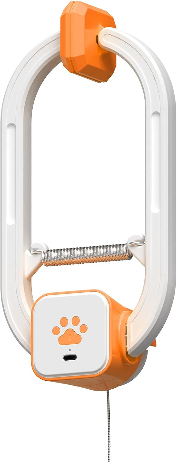 Automatic Interactive Cat Toy for Indoor Cats - Orange