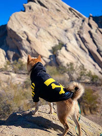 Fresh Pawz Woof Dog Hoodie - BIG FRENCHIES