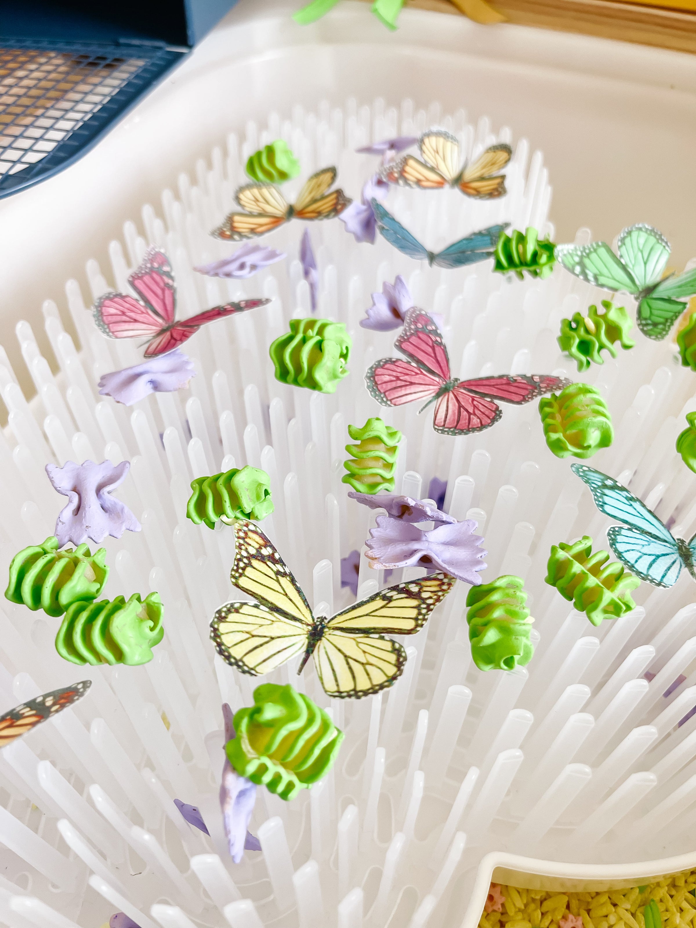 Bugs Printable Dramatic Play