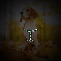 PUPTECK No Pull Dog Harness Soft Adjustable Basic Nylon Step in Puppy Vest Outdoor Walking with ID Tag, Moon Star Green, S