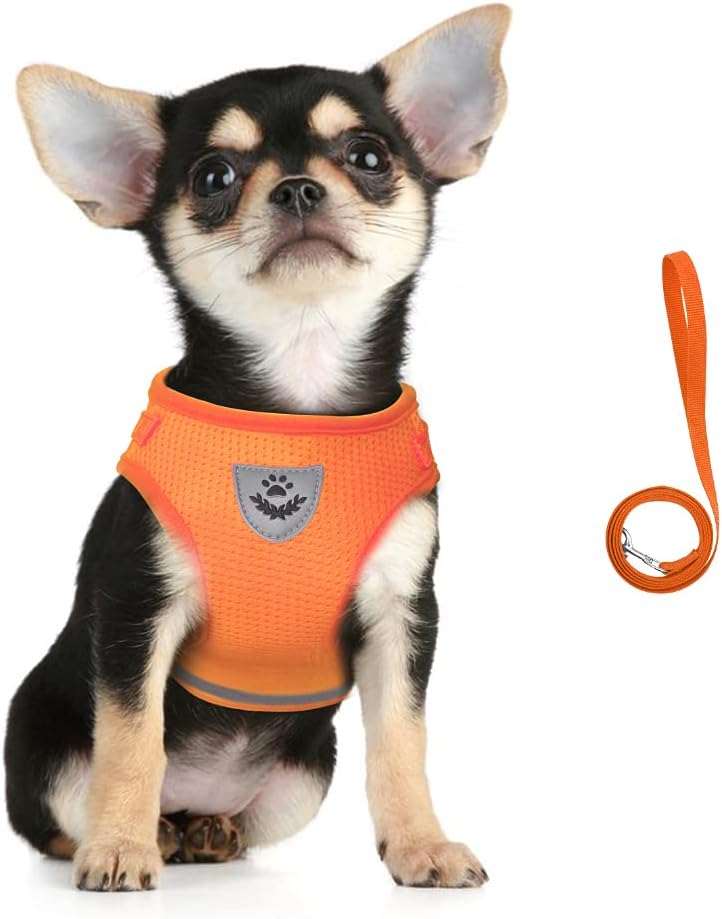 FEimaX Dog Harness and Leash Set for Walking - Orange / Large