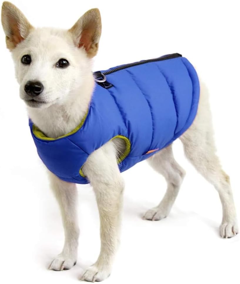 Gooby Padded Vest Dog Jacket, Solid Turquoise - Medium / Blue Solid