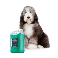 Artero Tsunami Shampoo
