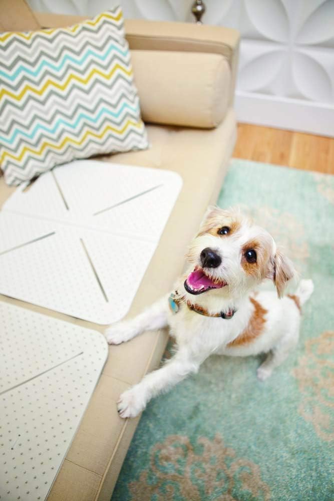 Mammoth Pet Products X-Mat Foldable Training Mat, Beige - image 2