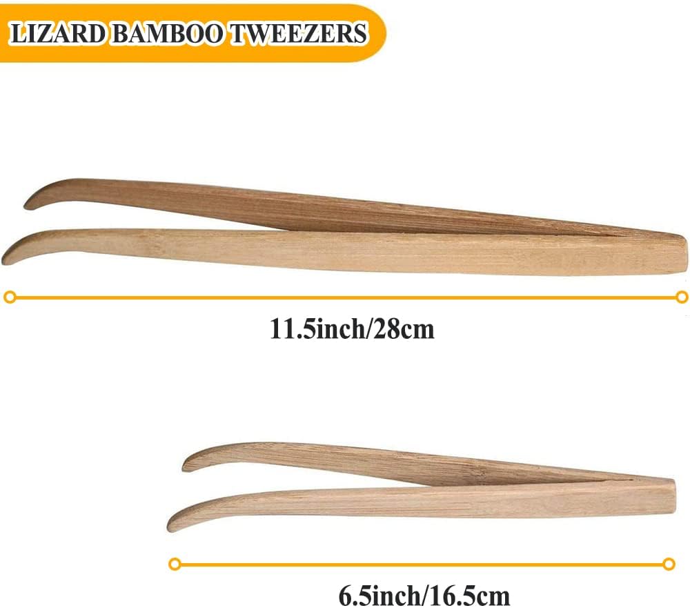 Reptile Bamboo Tweezers Lizard Feeder Tongs Feeding Tools for Bearded - image 2