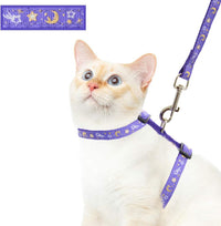 Cat Harness and Leash Set for Outdoor Walking Escape Proof Adjustable - Purple / XL