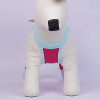 ROZKITCH Dog Surgery Leg Sleeve Rear Legs, Male Female Pet Prevent Licking Wound Elbow Knee Protector, Dog Recovery Suit Cone Collar Alternative Pants Shirt for Wound Heal Wrap Rosered L