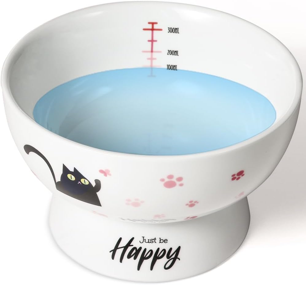 Raised Cat Food Bowl Ceramic 15° Tilted Cat Food Bowls Protect Cat's - Pink-Water Bowl / 1