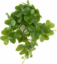 Fake Calathea Orbifolia, Reptile Terrarium Suction Plants – Essentials for Fish - Fake Shamrock