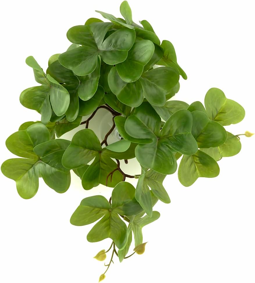 Fake Calathea Orbifolia, Reptile Terrarium Suction Plants – Essentials for Fish - Fake Shamrock