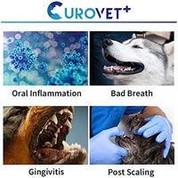 MucoMax, Oral Wound Care Gel for Dogs and Cats, 0.35oz. Safe and Easy Care with 100% Natural Ingredients. Treats Oral Wound and Inflammation.
