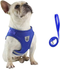 FEimaX Dog Harness and Leash Set for Walking - Blue / X-Large - image 2