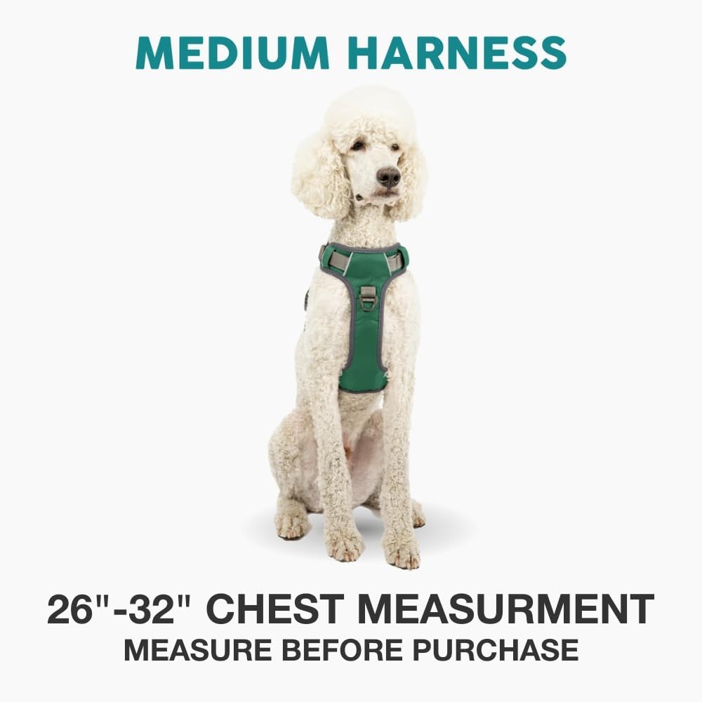 Embark No Pull Dog Harness, Reflective Adjustable Training Vest - M / Green - image 2