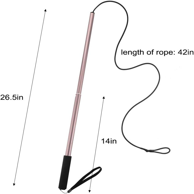 Interactive Dog Toys - Extendable Flirt Pole with 2pcs Squeaky Plush Toy Tugs Red Green for Dog - new coffee - image 3