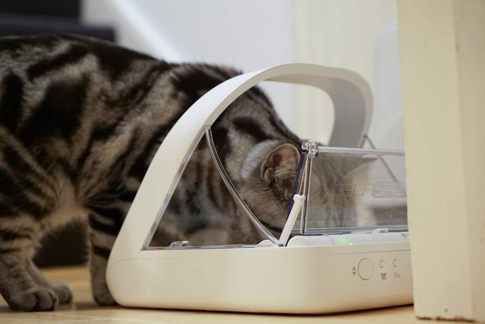 Sure Petcare -SureFlap, SureFeed, Microchip Pet Feeder - Standard Version - image 3
