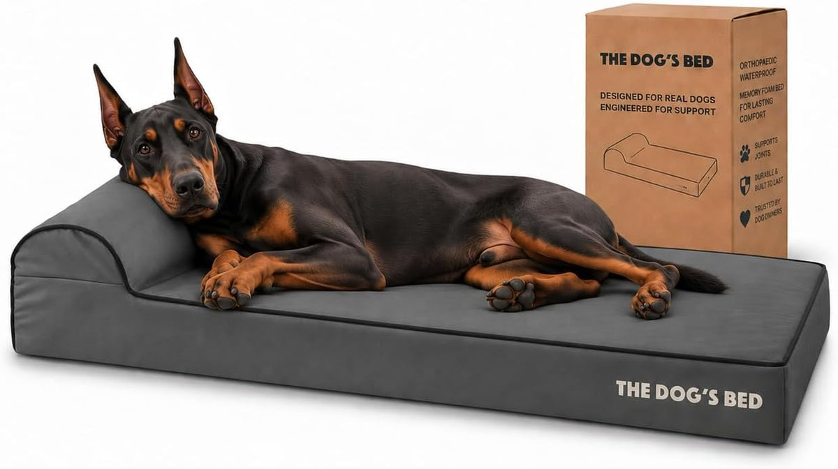 The Dog’s Bed Orthopedic Memory Foam Dog Bed with Headrest XL 6-Inch – Essentials for Dogs - Grey with Black Trim / XXL (54"L x 36"W x 4"Th)