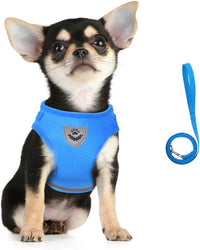 FEimaX Dog Harness and Leash Set for Walking - Azure / X-Small