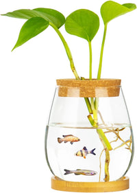 CUSNESTAL clear glass fish bowl with wood lid and bamboo stand on a desk - view 2