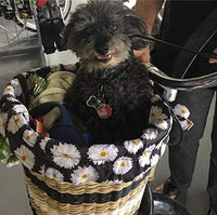 Cruiser Candy Bike Basket Liner Waterproof, Universal Fit for Most Bike Baskets, Stylish 2in1Tote, Bike Basket Cover, EBiKE Front Wire Or Wicker Bike Baskets Fits Up to 15x12x10