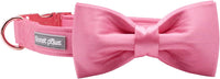 Lionet Paws Bowtie Dog Collar - Large (Pack of 1) / Peach - image 4