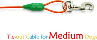 Petest 15ft Tie-Out Cable with Crimp Cover for Medium Dogs Up to 60 Pounds DarkGreen & Orange