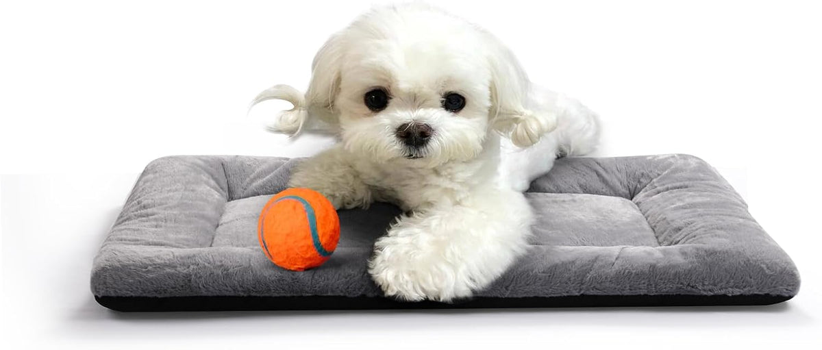 Dog Crate Pad Washable Dog Bed for Crate Medium Cozy Mat 36-Inch Gray – Essentials for Dogs - 22.0"L x 13.0"W x 1.0"Th / gray