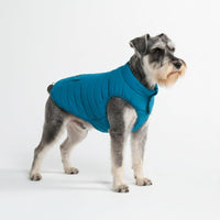 Spark Paws Dog Winter Coat Jacket - Teal / Small