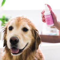 Breedwise Pet Provisions Sweet Pea and Vanilla dog perfume spray in a 4 oz bottle - view 4