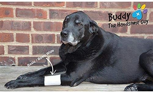 Basic Leg Bandages for Dogs, Cats, Pets -First- aid Non Adhesive Fur Friendly, Soft Stretch Wound Care, hot Spots, Fungus, Adjustable Fastening Strap Value Pack (Small 12-Pack)
