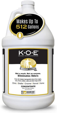 Odorcide KOE Fresh Scent Concentrate - Apricot / 128 Fl Oz
