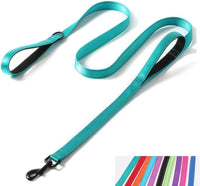 Reflective Nylon Dog Leash Heavy Duty - Teal / 4ft * 1"