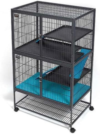 MidWest Homes for Pets Ferret Nation Exit Ramp & Cover for Ferret - 34.5"L x 22.5"W x 1.0"H / Teal and Purple