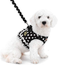 Step-in Dog Harness and Leash Set for Small Dogs - XL / black - image 2