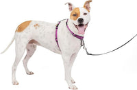 PetSafe 3 in 1 Dog Harness - No Pull Solution for Dogs - Reflective Dog Harness - Front D-Ring Clip Helps Stop Pulling - Comfortable Padded Straps - Top Handle Enhances Control - Plum - Medium