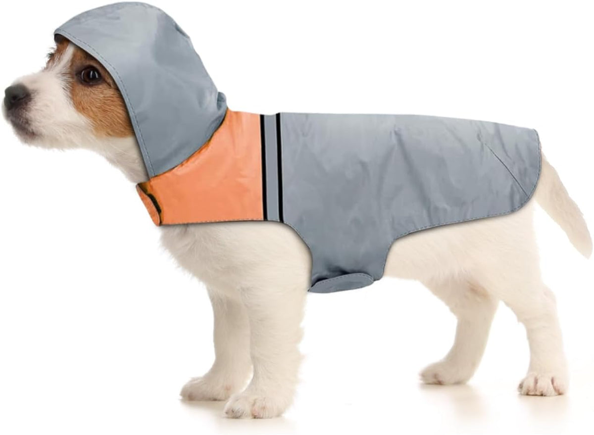 Dog Raincoat with Reflective Strip - S / Grey