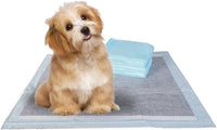 BV Puppy Pads Leak-Proof 100 Count 22"x 22" - 100 Count (Charcoal)