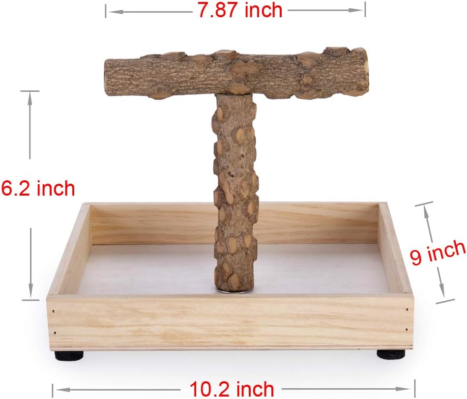 Kintor Bird Stand, Natural Wood Tabletop T Perch for Small & Medium Parrots – Essentials for Birds - image 2