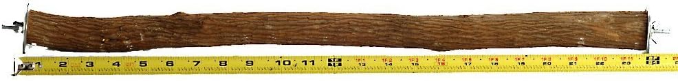 Polly's Full Length Hardwood Cage Perch for Parakeets - 26 inch (Pack of 1)