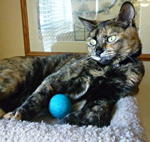 Wool Cat Toys - Felt Cat Toy Balls for Small Pet Fetch and Play - Eco Friendly Quiet Wool Ball Cat Toy for Cats and Kittens - Choose Your Colors (Green)