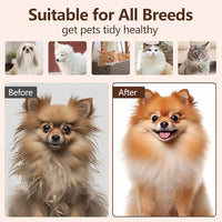 L&W BROS. Steam Grooming Brush for Shedding and Detangling – Self-Cleaning Steamy Pet Brush with Mist Spray for Long-Haired Cats and Small Dogs (Pink)