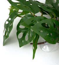 Fake Calathea Orbifolia, Reptile Terrarium Suction Plants – Essentials for Fish - Fake Swiss Cheese Plants Monstera Adansonii - image 3