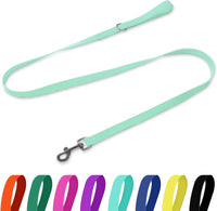 Waterproof Dog Leash, 5/6 FT Durable Odor-Proof Dog Leashes with Strong Metal Hooks Fits Small - Mint Green / 5FT - 3/4 inch Width