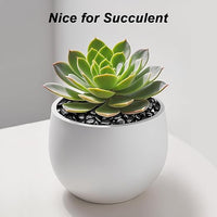 Terrarium Supplies,Virekm River Rocks, Decorative Ornamental Pebbles,Garden Landscaping Stones,Gravel Filler for Home Decoration Flower Bed Fish Tank Plants Vases Succulents