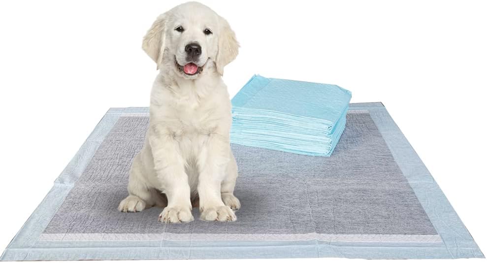 BV Puppy Pads Leak-Proof 100 Count 22"x 22" - 600 Count (Charcoal)