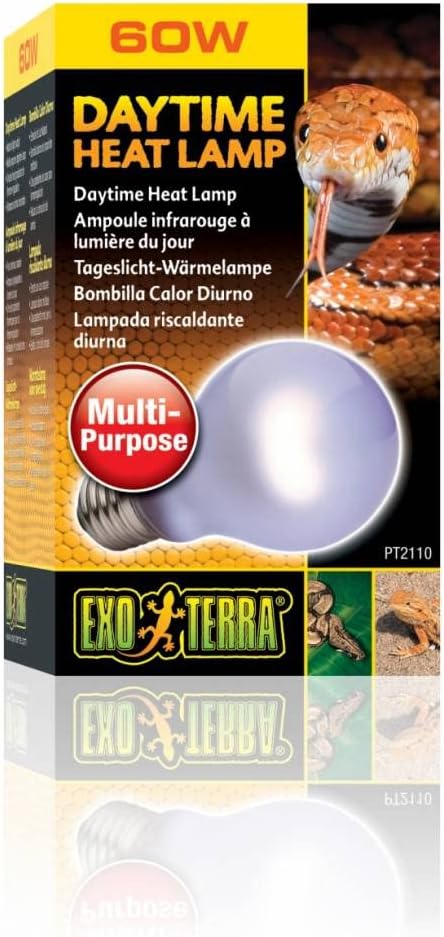Exo Terra Sun-Glo Neodymium A19 Lamp, 60-Watt – Essentials for Reptiles And Amphibians
