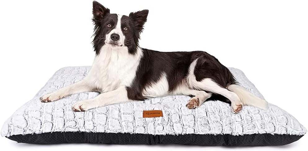 Dog Bed Crate Pad for Small Dogs 24"x18" Coffee – Essentials for Dogs - X-Large 42"x28" / White