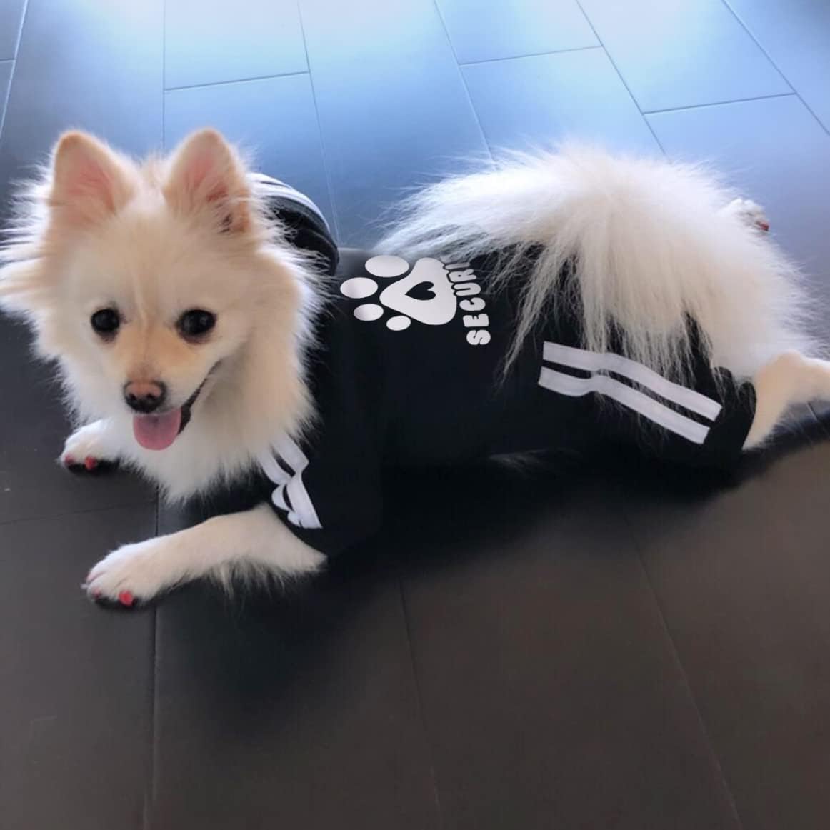 Dog Hoodie Security Clothes 4 Legs Jumpsuit Sweatshirt Hoodies Soft - Black / Medium - image 2